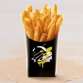 Seasoned Fries